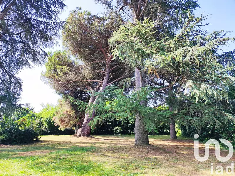 Maison, 227 m²