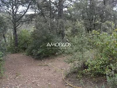Terrain, 7 800 m²