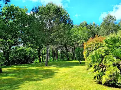 Maison, 229 m²