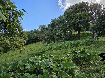 Terrain, 585 m²