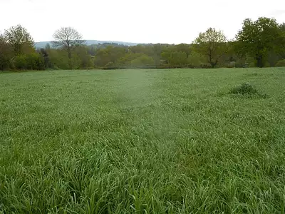 Terrain, 14 517 m²