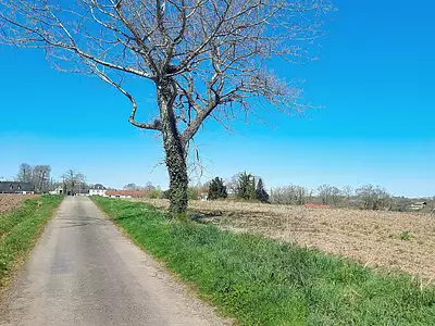 Terrain, 910 m²