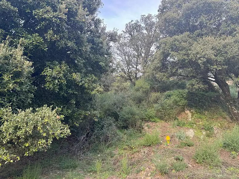 Terrain, 1 200 m²