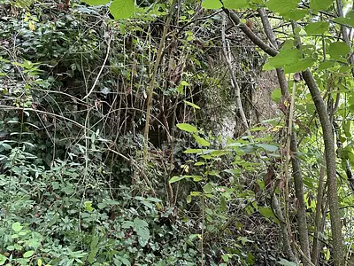 Terrain, 2 677 m²