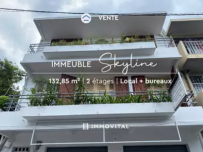 Immeuble, 132,85 m²