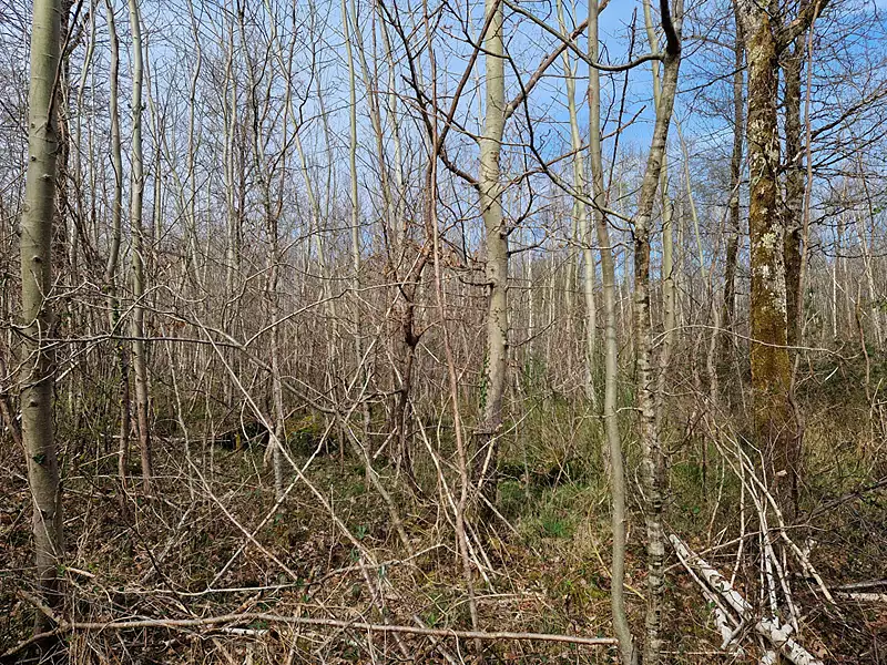 Terrain, 22 911 m²