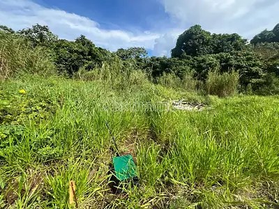 Terrain, 1 274 m²