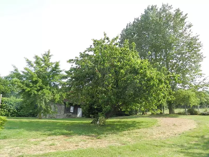 Maison, 110 m²