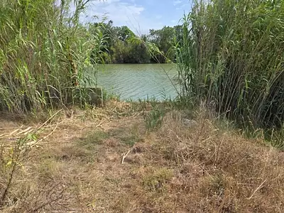 Terrain, 32 045 m²