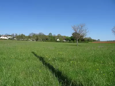 Terrain, 1 114 m²