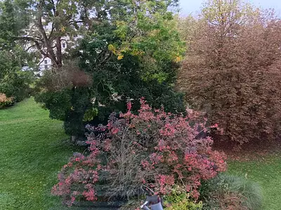 Appartement, 61,98 m²