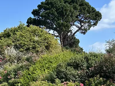 Maison, 135 m²
