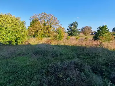 Terrain, 814 m²
