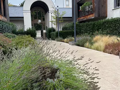 Appartement, 36,64 m²