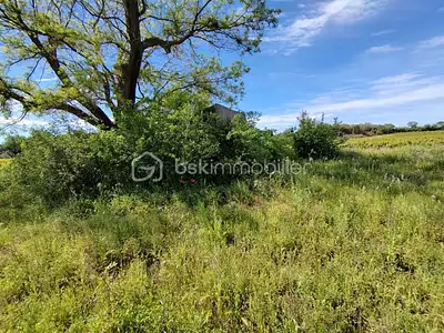 Terrain, 11 536 m²