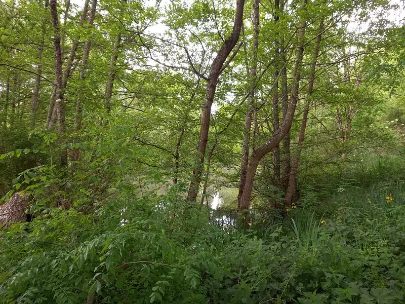 Terrain, 405 m²