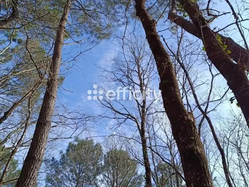 Terrain, 7 300 m²