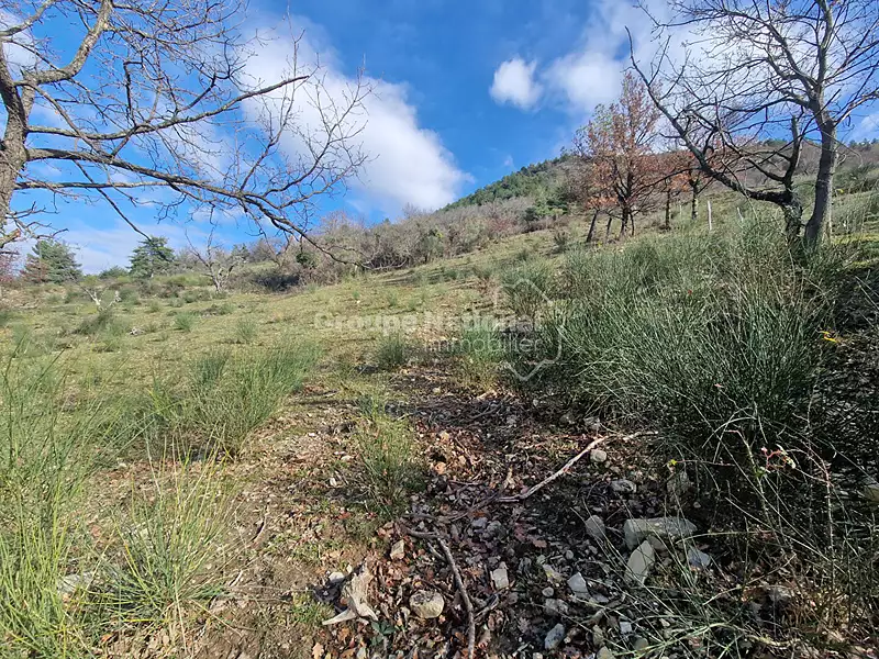 Terrain, 10 525 m²