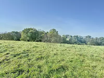 Terrain