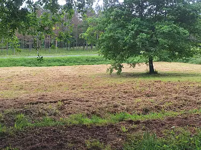 Terrain, 1 219 m²