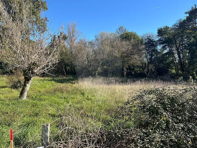 Terrain, 716 m²