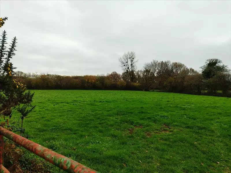 Terrain, 61 780 m²