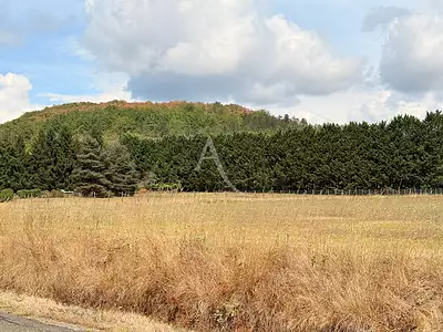 Terrain, 14 935 m²