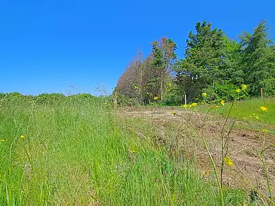 Terrain, 986 m²