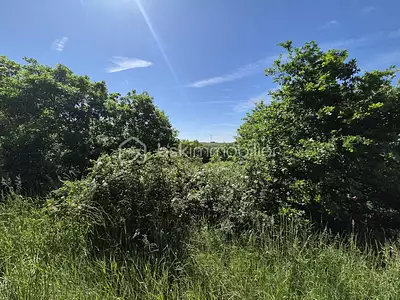Terrain, 26 139 m²
