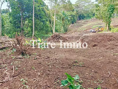Terrain, 1 136 m²