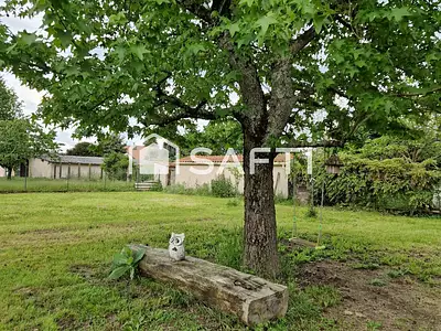 Terrain, 1 286 m²