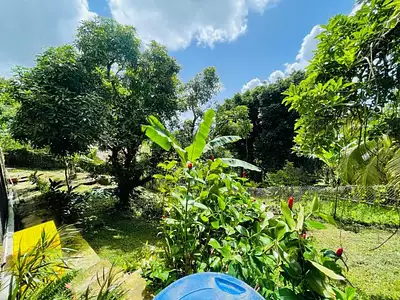 Maison, 360 m²