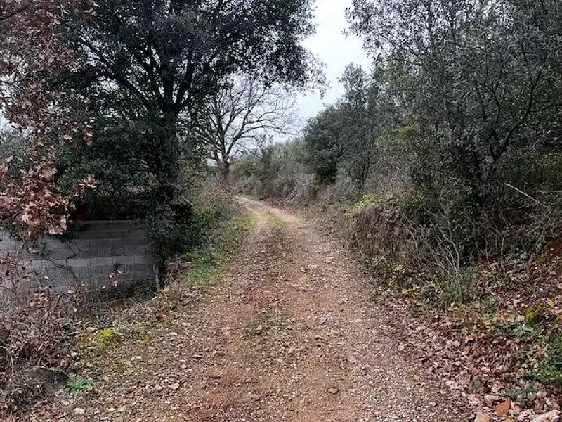 Terrain, 6 290 m²