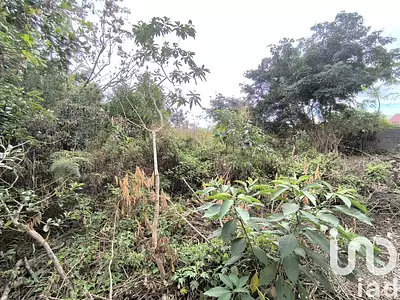 Terrain, 722 m²