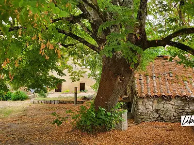Maison, 260 m²