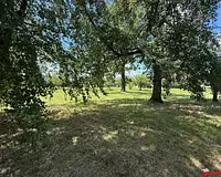Terrain