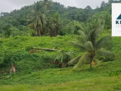 Terrain, 2 300 m²