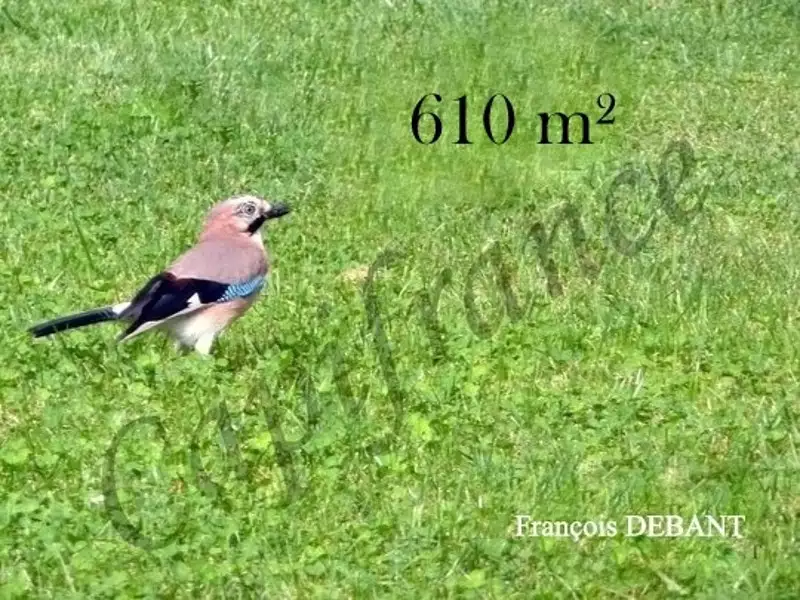 Terrain, 610 m²