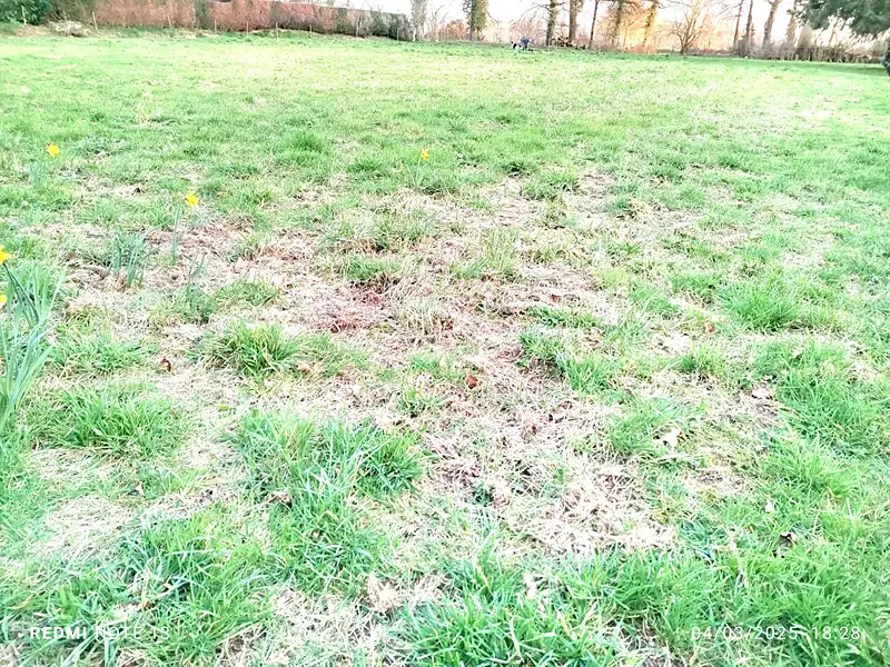 Terrain, 1 200,1 m²