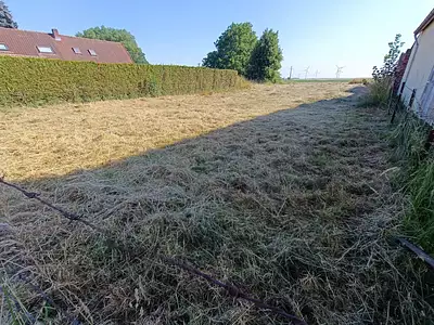 Terrain