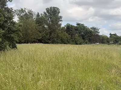Terrain, 2 186 m²