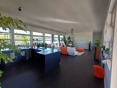 Appartement, 239,32 m²