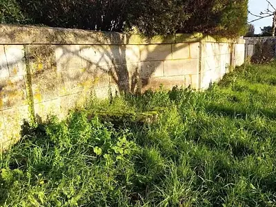 Terrain, 699 m²