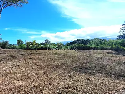 Terrain, 2 915 m²