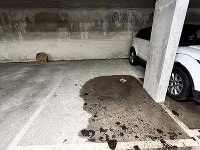 Parking, 12 m²
