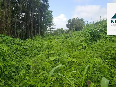 Terrain, 2 300 m²