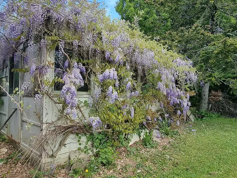 Maison, 85 m²