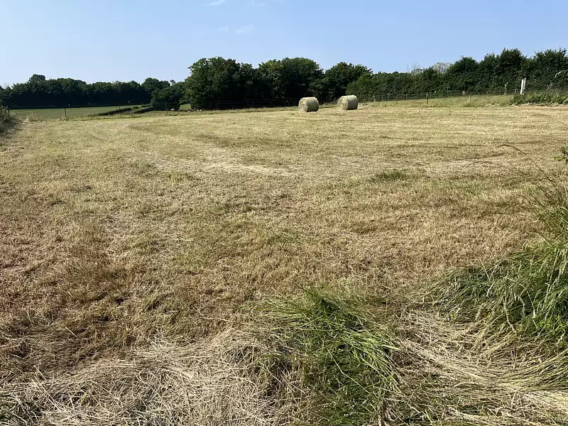 Terrain, 1 300 m²
