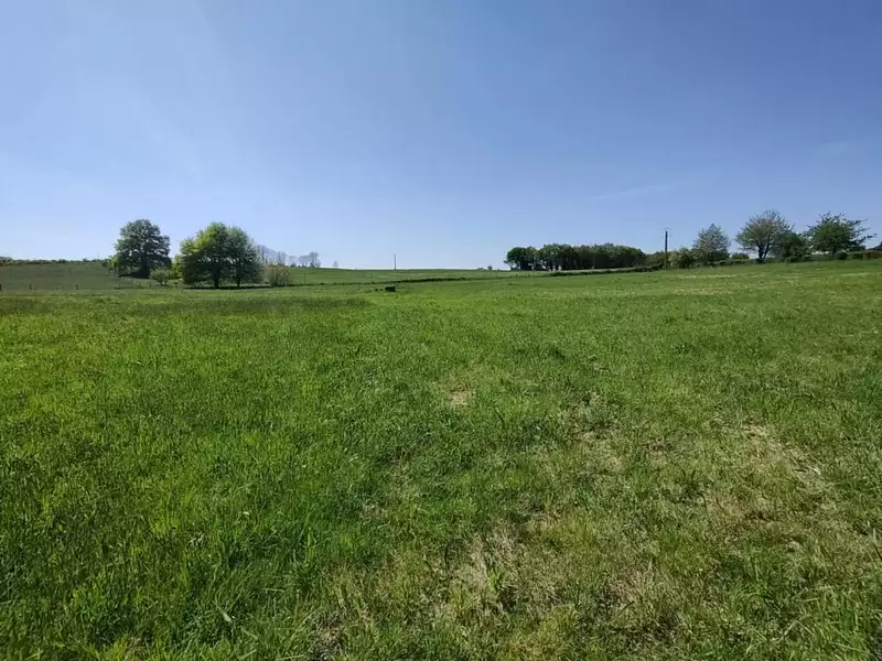 Terrain, 13 561 m²