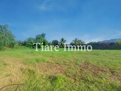 Terrain, 692 m²